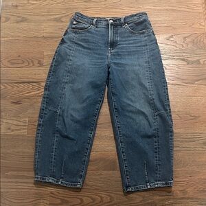 Pistola petite barrel jeans size 27P GUC